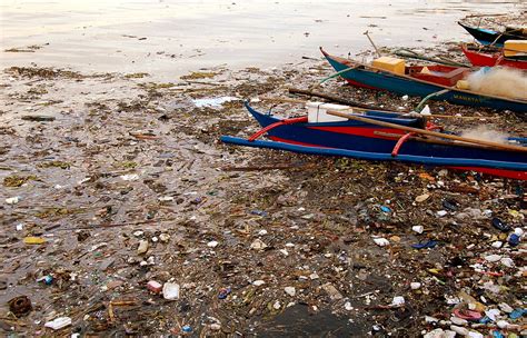 With all of the causes of water pollution, of course come the effects on the environment and human health. Pollution of the Pasig River - Wikipedia