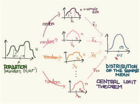 What is Central Limit theorem (CLT)? | by Biraj Parikh | Medium