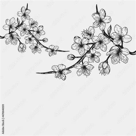 Sakura Cherry Blossom Branch Falling Petals Flowers Isolated Flying Realistic Japanese Pink