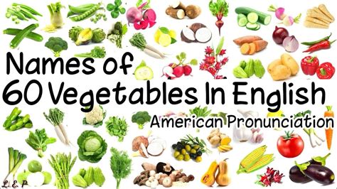 Learn Vegetables Vocabulary With Pictures English American