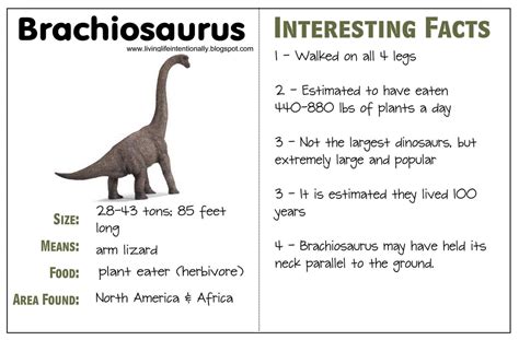 Undefined Dinosaur Information Dinosaur Kids Largest Dinosaur