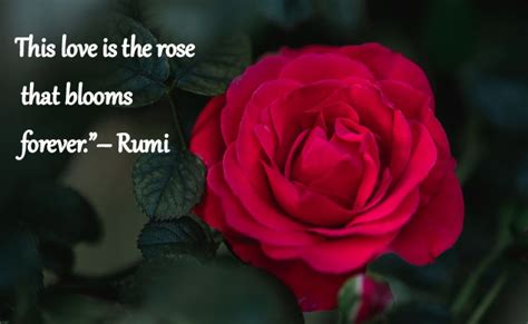 How Some Flower Quotes Express Love Life Lush Happiness And Reality