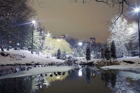 Cityaeyaey Park Trees Winter Snow Lights Wallpapers Hd Desktop