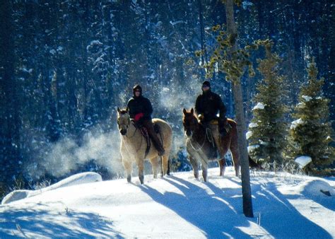 Winter Wonderland Glamping at Colorado's Vista Verde Ranch - Glamping.com