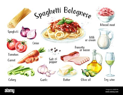 Spaghetti Bolognese Recipe Ingredients Set Watercolor Hand Drawn