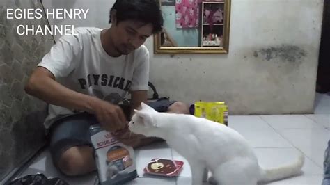 Royal canin adalah makanan kucing yang bagus untuk bulu. MAKANAN KUCING ROYAL CANIN HAIR & SKIN PROVEN RESULTS IN ...