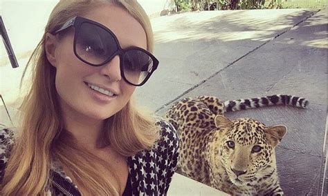 Paris Hilton Chills Out With Leopards And Cubs At Big Cat Sanctuary In