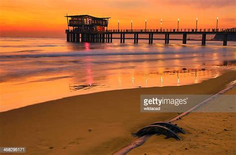 Durban Beach Photos And Premium High Res Pictures Getty Images