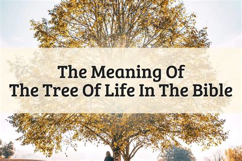 Tree Of Life Meaning Bible Epic Key To Immortality 2023