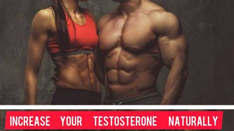 Increase Your Testosterone Levels And Sexual Life Activity Naturally Youtube