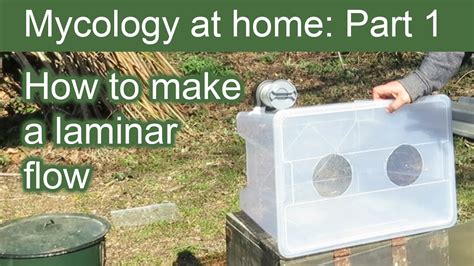 I spent a good chunk of time yesterday trying to find diy instructions for laminar flow hoods and getting a bit of an idea about cost and design strategies. How to make a Laminar Flow ∼ Fume Cabinet ∼ Mycology at Home: Part 1 - YouTube