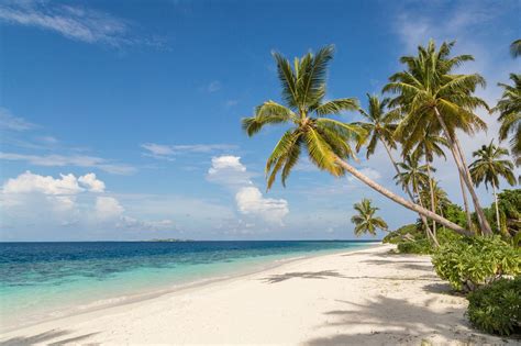 Malediven Atolle Die Schönsten Inseln Dertour