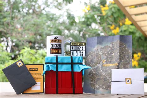 The internet can be a convenient and fun tool for organizing a successful birthday party, or even just an easy way to make your friend's birthday special. #pubg #pubgcrate #PubGlove #gamersgift #pubglovers #hamper ...