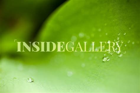 Fine Art Photography Green Inside Gallery