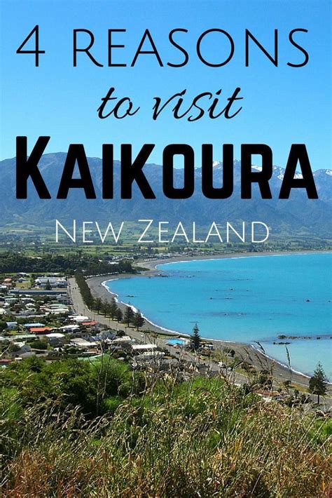 4 Reasons You Should Visit Kaikoura New Zealand New Zealand