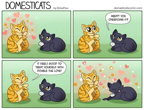 Image Result For Domesticats Cat Comics Crazy Cats Cat