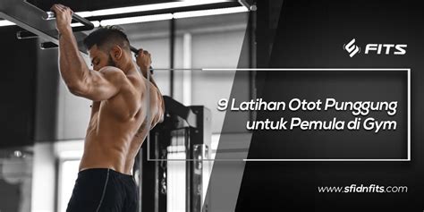 Sfidn Fits Blog Latihan Otot Punggung Untuk Pemula Di Gym