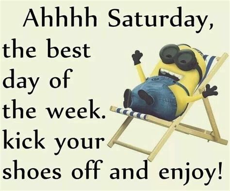 Saturday | Saturday quotes, Happy saturday pictures, Funny silly jokes