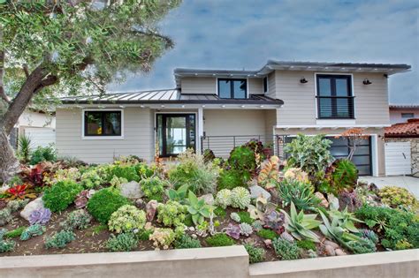 58 Drought Resistant Front Yard Home Garden