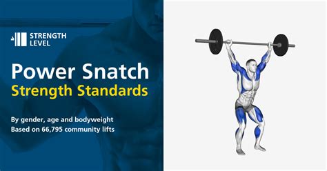 Rwanie siłowe standardy dla mężczyzn i kobiet lb Strength Level