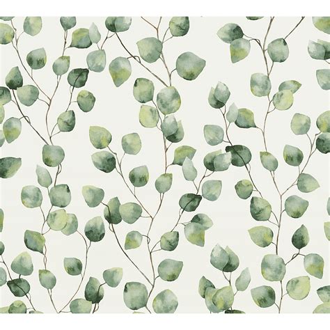 As370441 Hedera Green Painterly Vine Wallpaper By As Creation