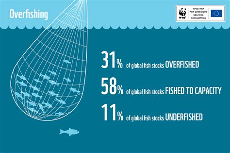 Overfishing Aquascript