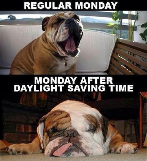 15 Daylight Saving Time Memes That Capture How Most Of Us Feel About
