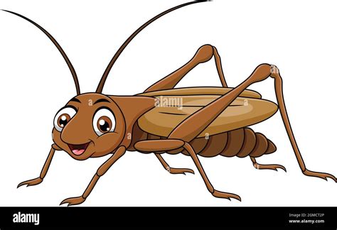 Top 105 Cartoon Cricket Insect Images
