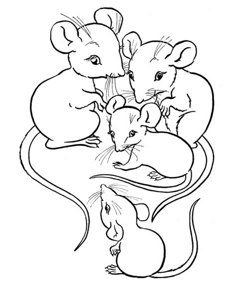 Hueyphotos3 Mice Coloring Pages