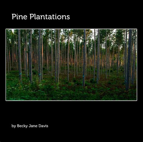 Pine Plantations By Becky Jane Davis Blurb Books