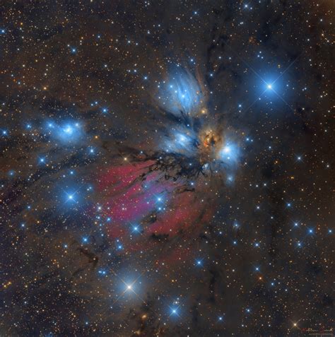 Ngc 2170 Angel Nebula 4h One Click With Chi 2 Telescope Live