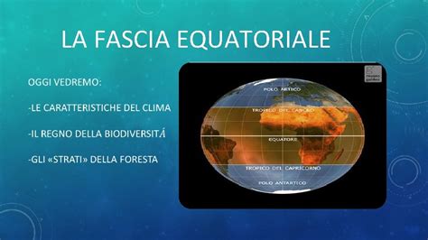La Fascia Equatoriale Le Caratteristiche Del Clima La