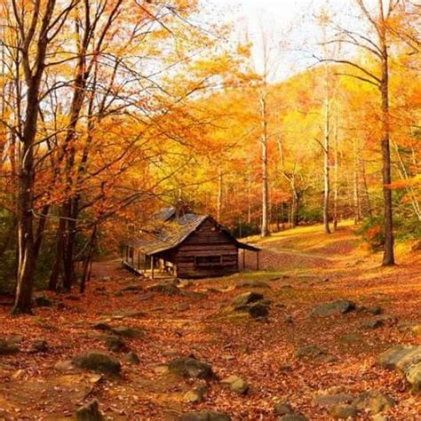 Pin By James Culwell On Cabins Autumn Scenery Fall Pictures Country