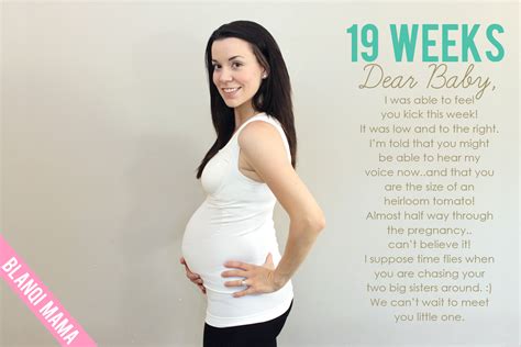 Baby Book 19 20 And 21 Week Bumps At Home With Natalie