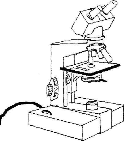 Compound Microscope Drawing Clipart Best