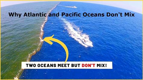 Why The Atlantic And Pacific Oceans Dont Mix Atlantic And Pacific
