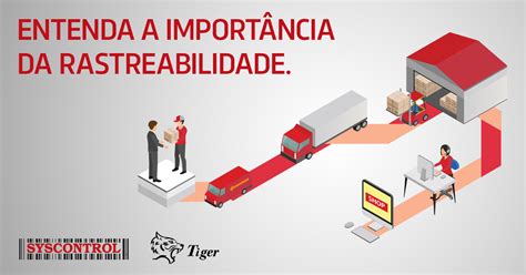 As Definições De Ativo E Passivo Identificam Suas Características Essenciais