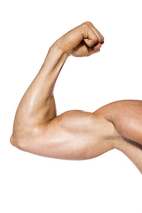 Muscular Man Flexing His Biceps In Front Of White Background Close Up