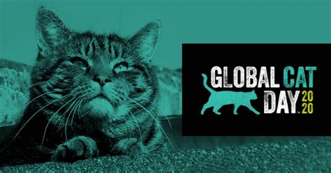 Happy Global Cat Day Off Topic Homecoming