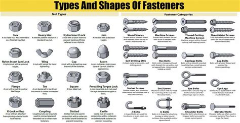 Types And Shapes Of Fasteners Nuts Screw Head And Washers