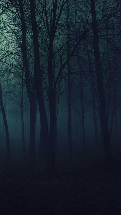 Dark Forest Hd Mobile Wallpapers Wallpaper Cave