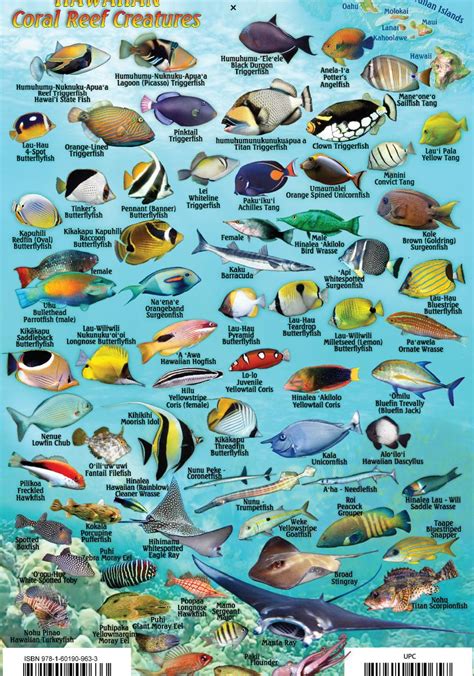 Kauai Fish Card Franko Maps