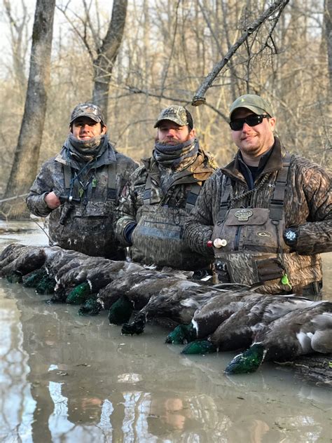 1 Arkansas Guided Waterfowl Hunts Mallard Bay