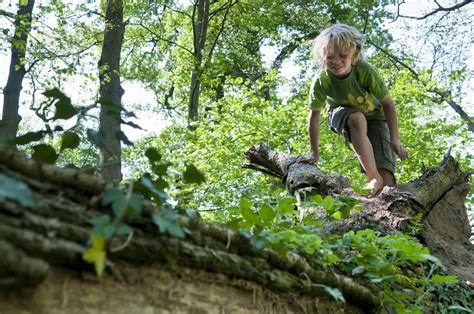 Bomen Klimmen Natuurmonumenten