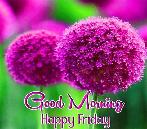 Happy Friday Good Morning Wishes With Flowers Good Morning Happy Friday Blessed Friday