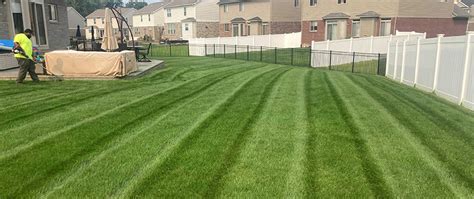 Why Should My Lawn Be Mowed Every Week In Michigan Big Lakes Lawncare