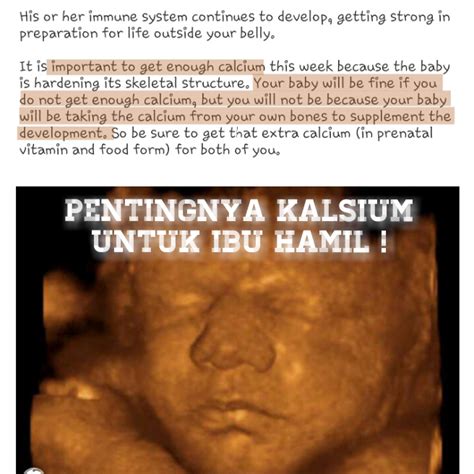 Kalsium yang dikonsumsi oleh ibu hamil, secara langsung akan diserap oleh janin untuk proses pertumbuhannya melalui plasenta. Ubat Kalsium Untuk Ibu Mengandung - Berubat t