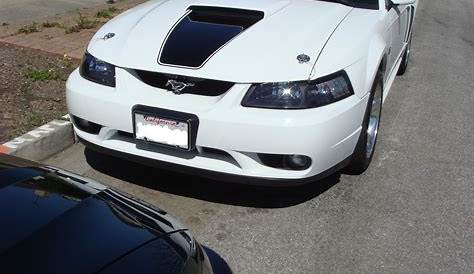 Can Ya'll Post Pics Of Your Front Bumpers? - Ford Mustang Forum