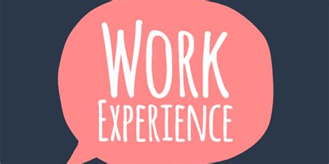 Work Experience And Employers Csw Group Ltd