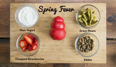 Check spelling or type a new query. 26+ Healthy Treats You Can Stuff In Your Dog's KONG Toy